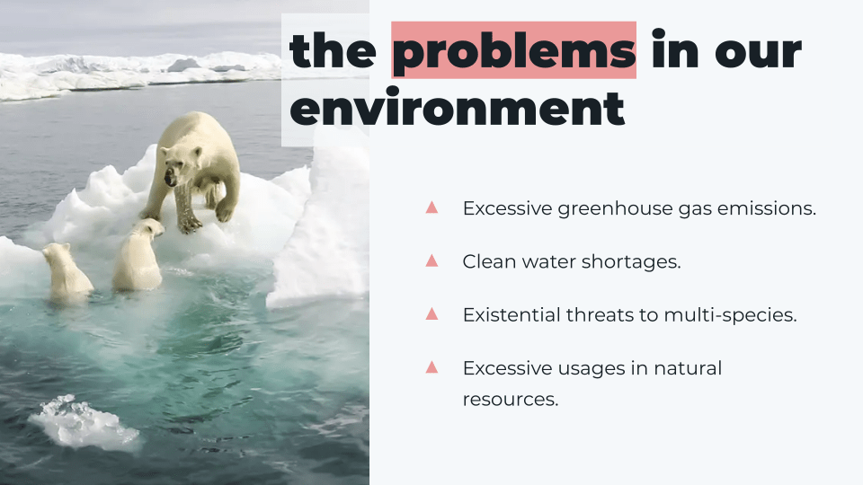 the problems in our environment